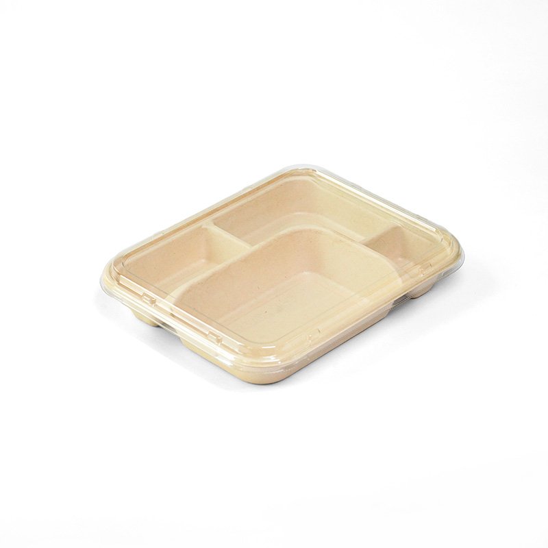 ECO Bagasse 4 Compartment + PET Lid