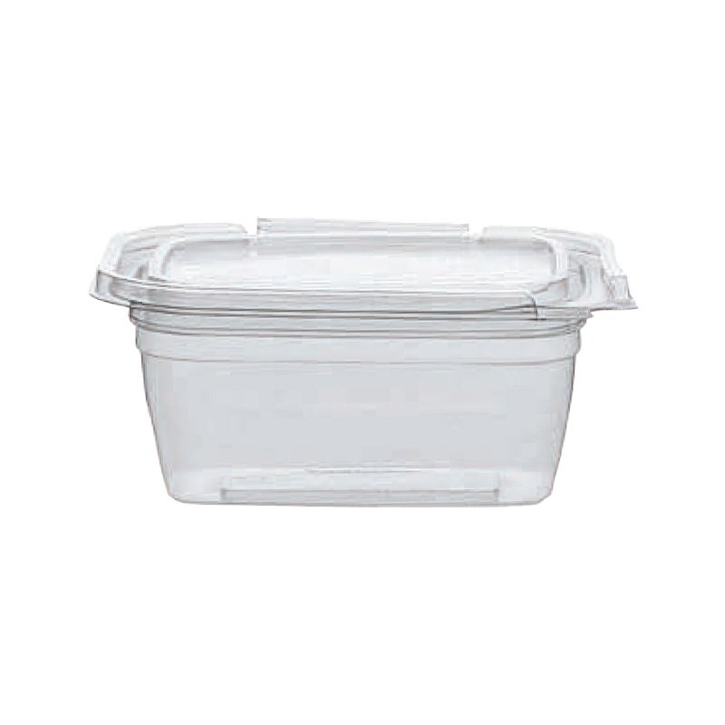Clear Multi-Purpose Container with Hinged Lids